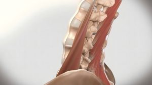 Headshot of Lumbar Decompression Therapy